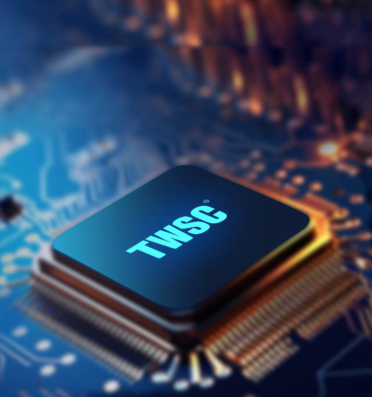 南宫电子游戏TWSC6501自研芯片